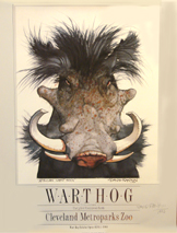 African Wart Hog